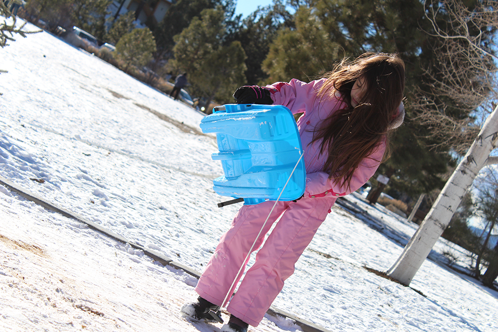 BABY SLEDS